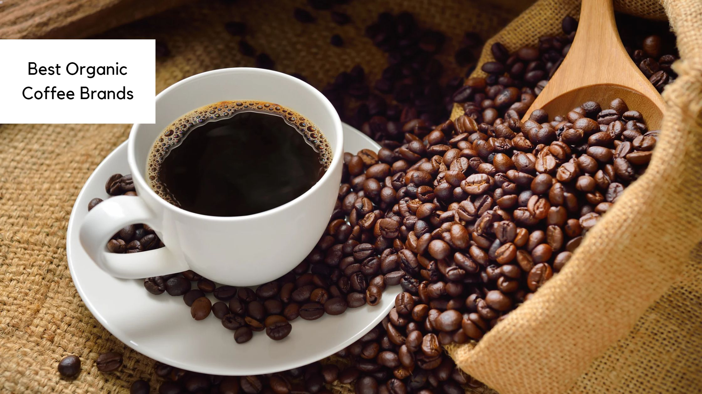 Organic Coffee Brands: A Pesticide-Free Brew