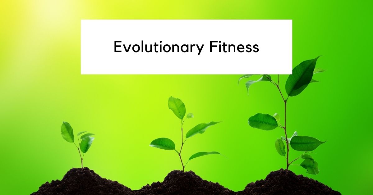 Evolutionary Fitness