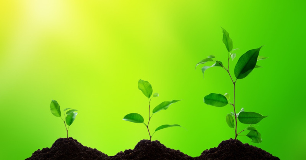 What is Evolutionary Fitness and How is it Measured?